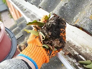 A gloved hand lifting wet leaves and silt out of a roof gutter.
